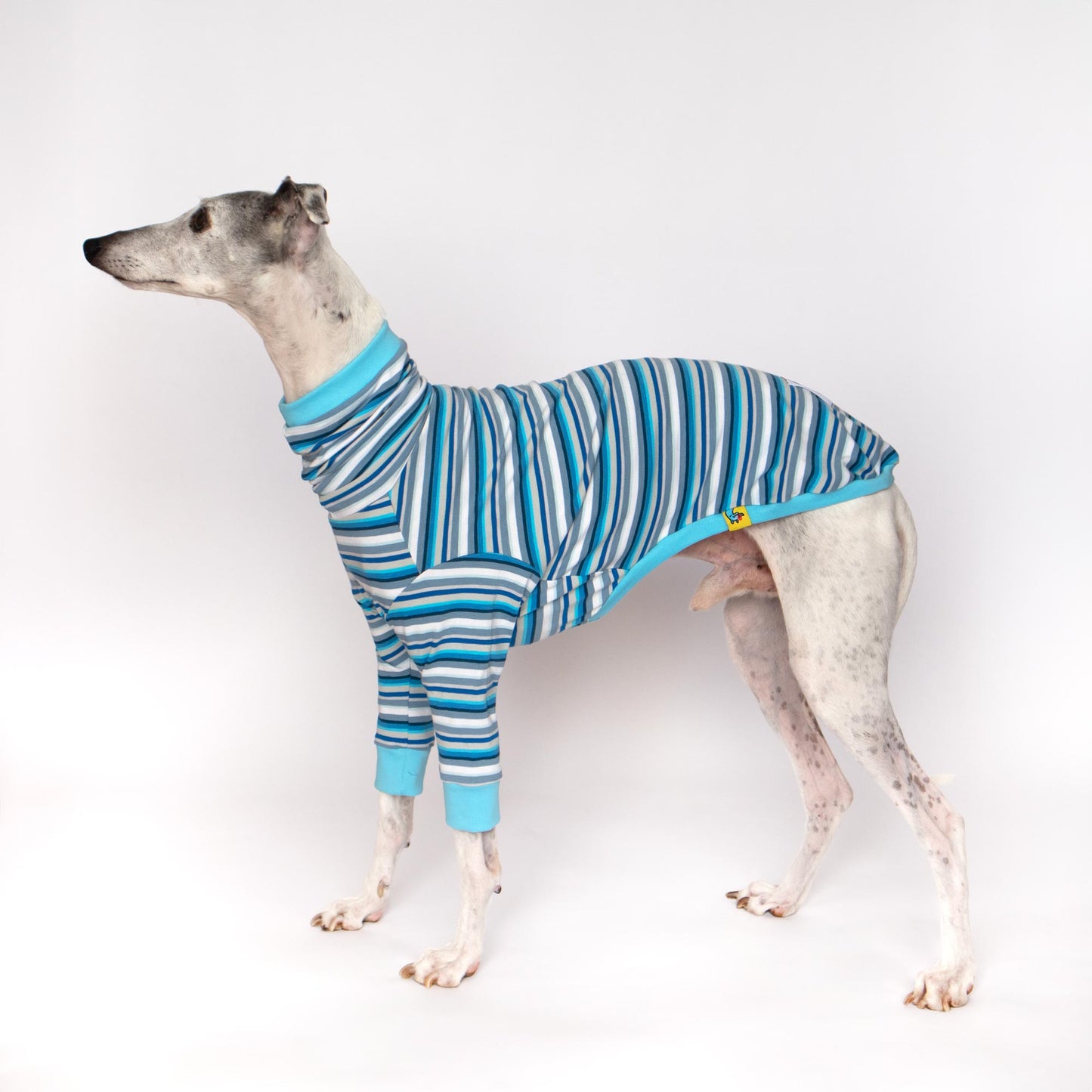 ropa para whippet celeste pijama onda dogs clothes for whippets pajama