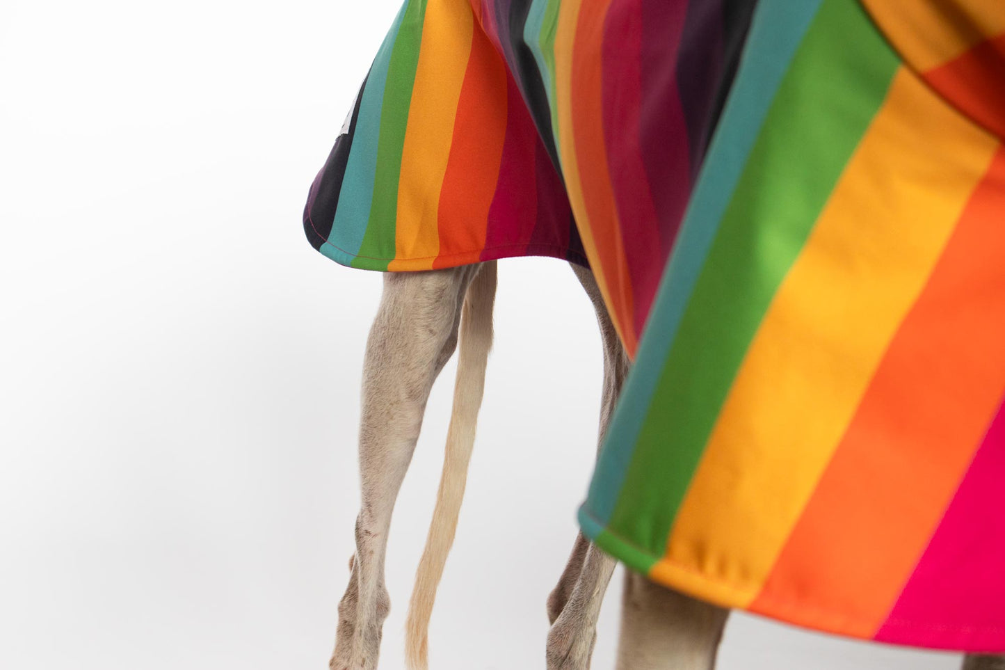 ondadogs chubasquero iris galgo