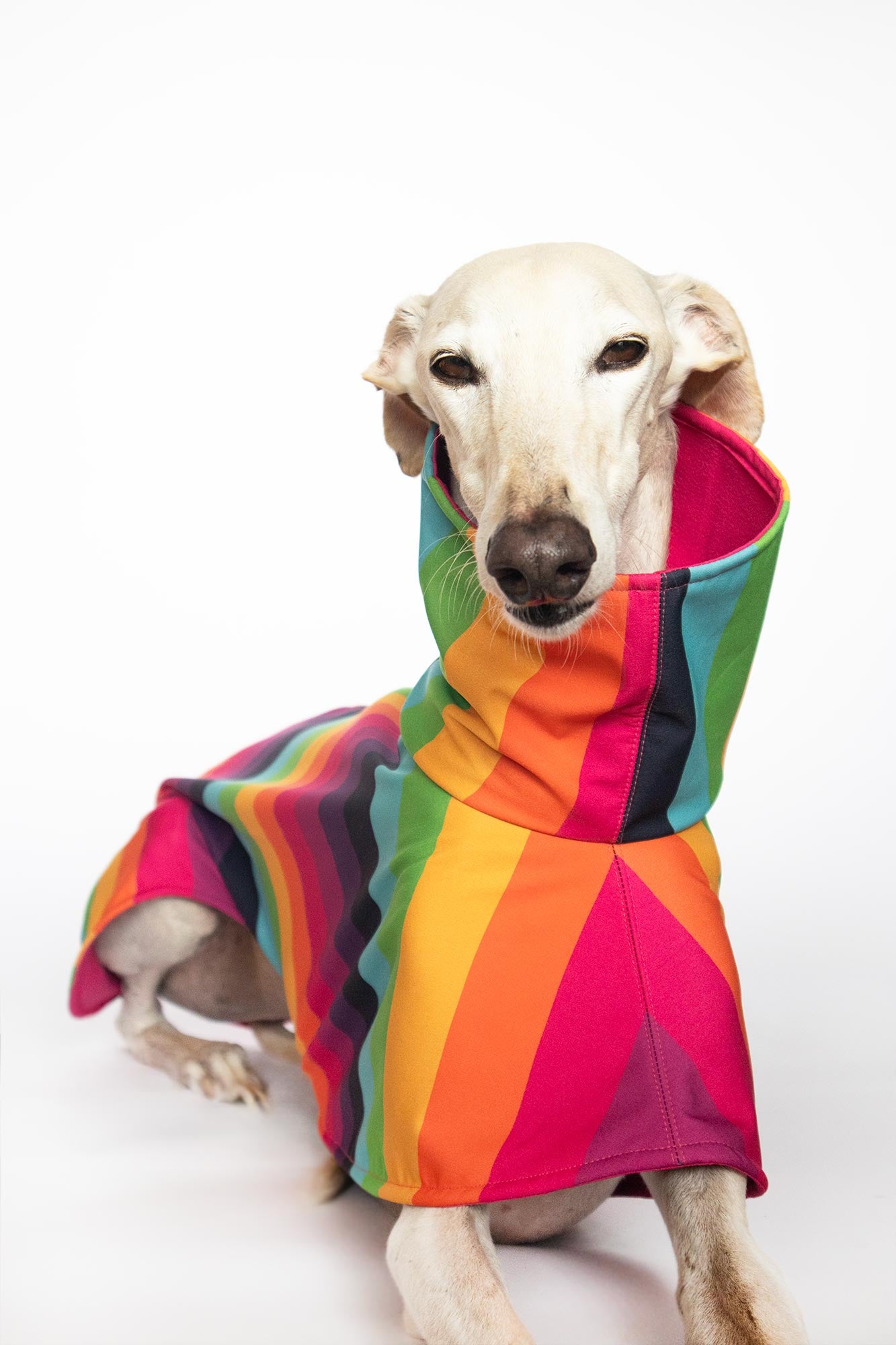 ondadogs chubasquero iris galgo