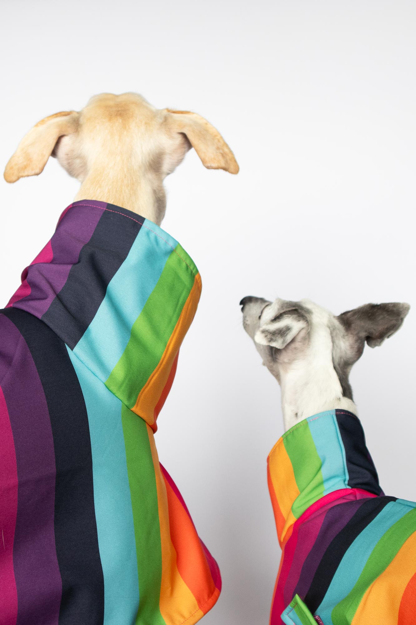 ondadogs chubasquero iris galgo