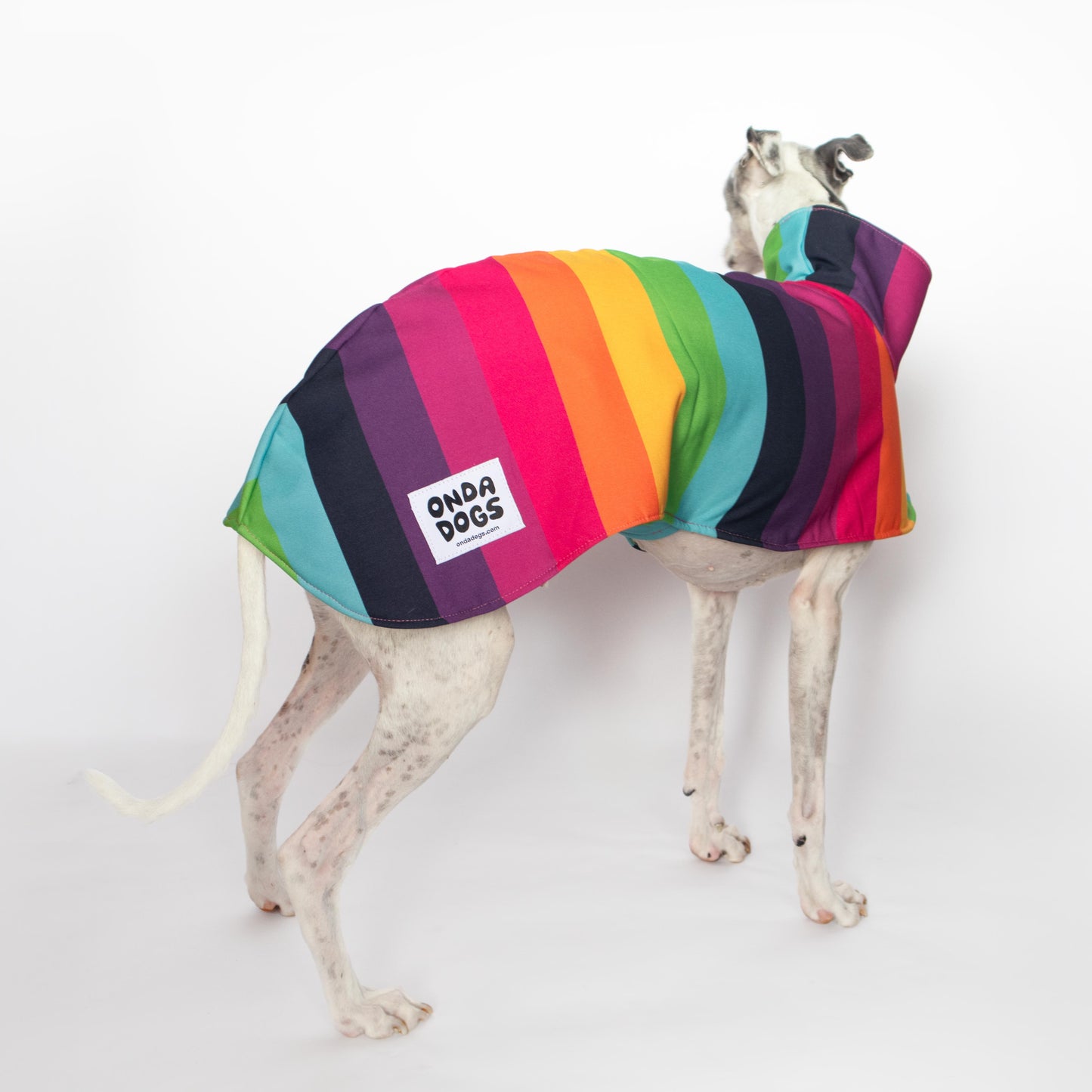 ondadogs chubasquero iris whippet
