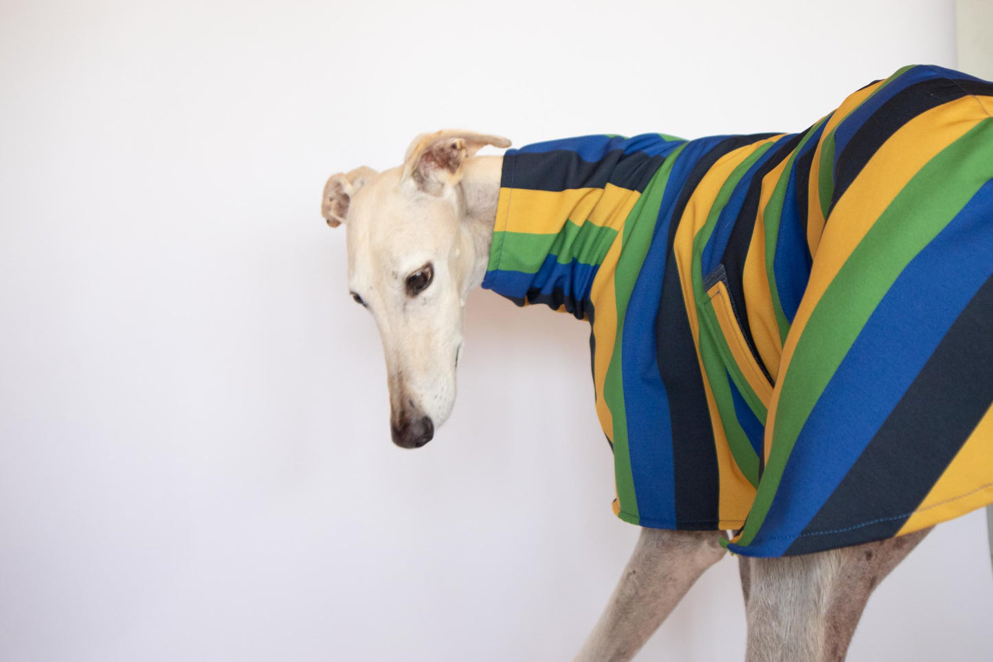 ondadogs chubasquero nimbus galgo