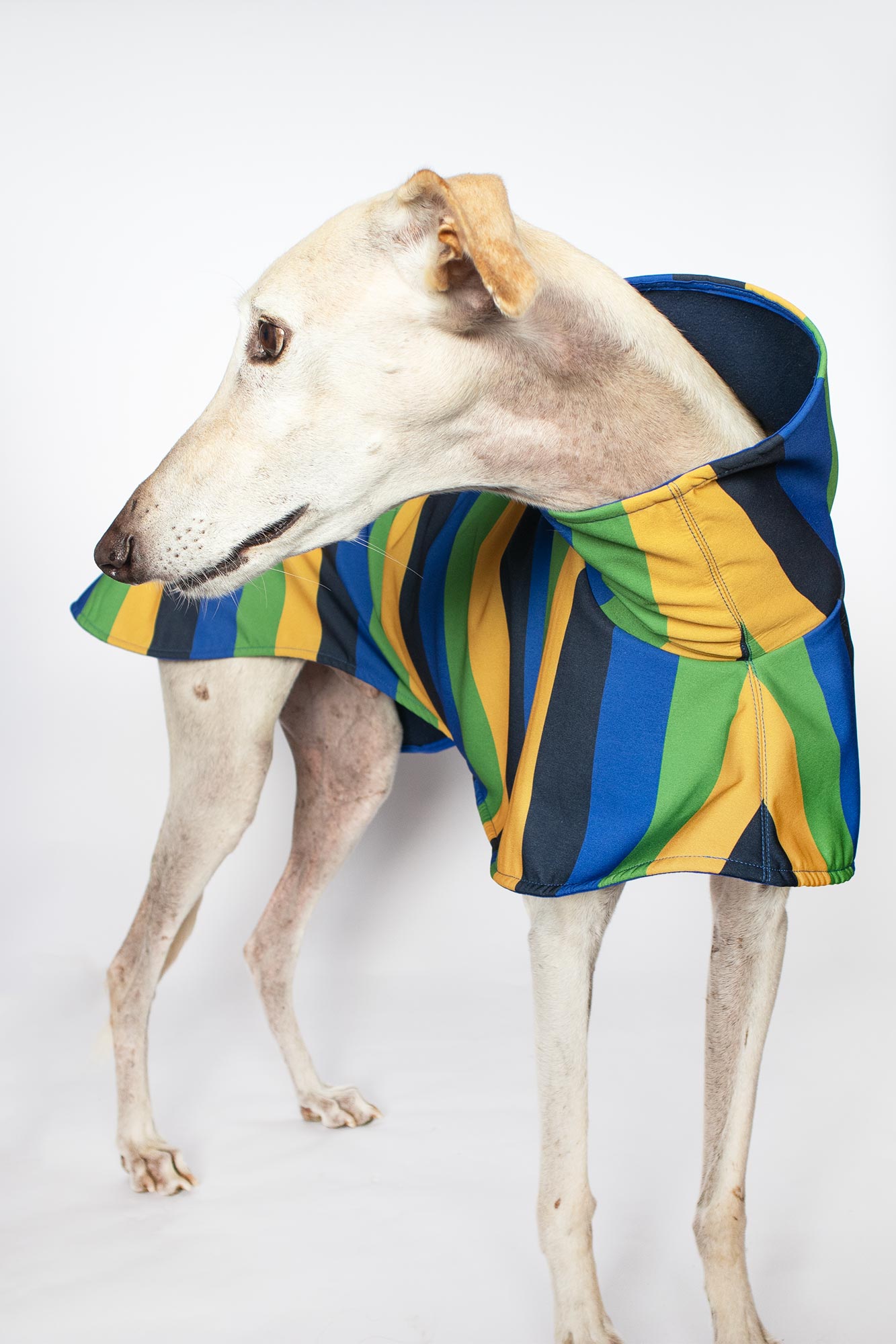 ondadogs chubasquero nimbus galgo