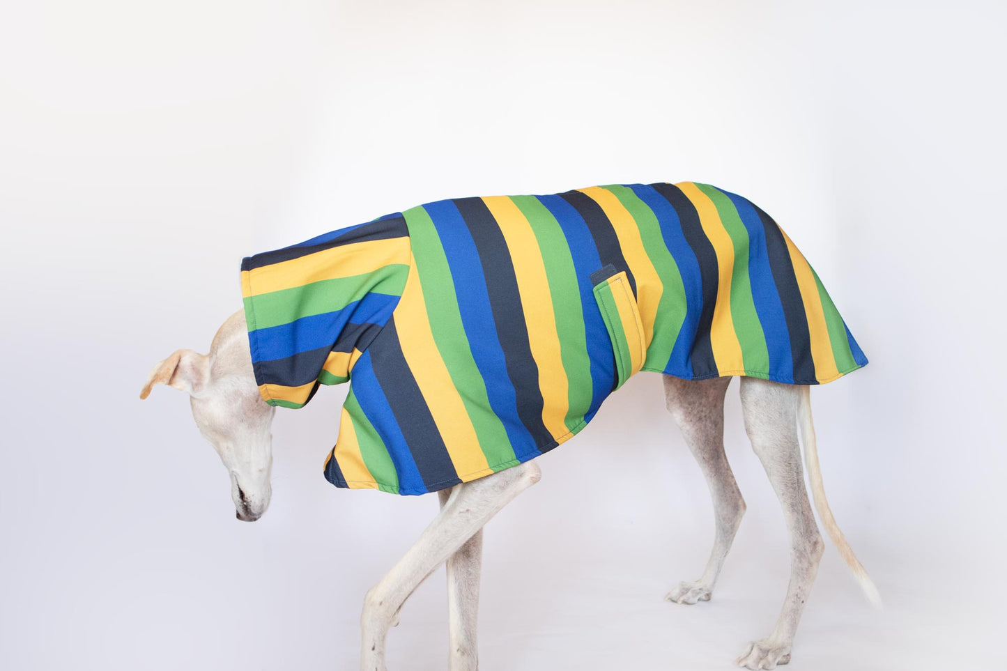 ondadogs chubasquero nimbus galgo