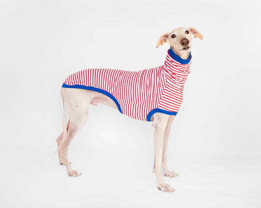 ropa para galgo camisa manga corta marinero rojo onda dogs
