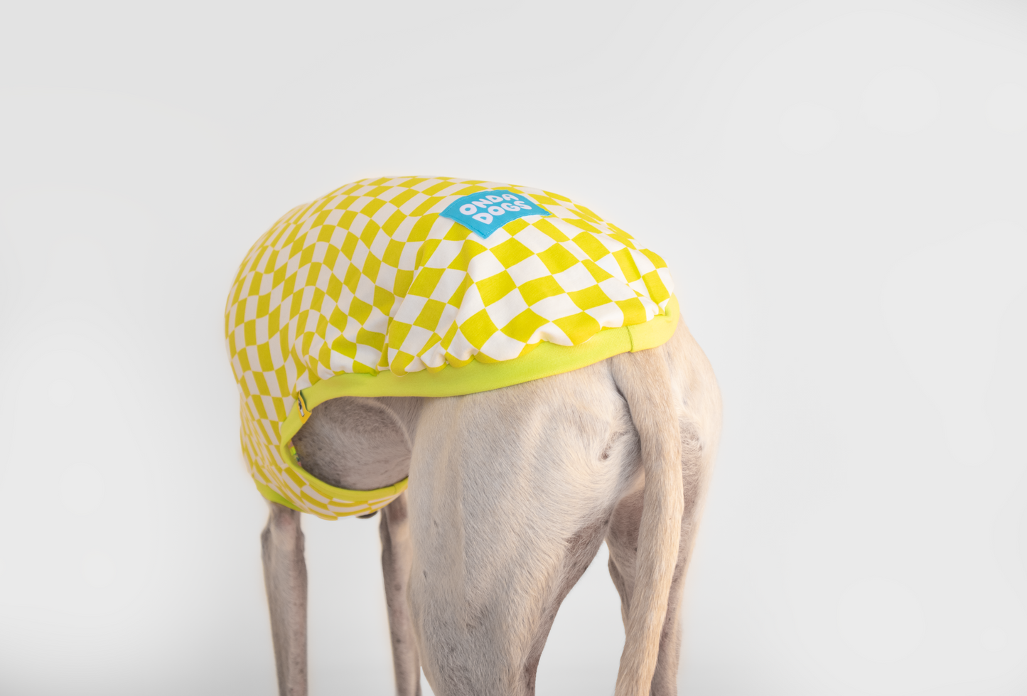 ropa para galgo camiseta manga corta lima limon onda dogs