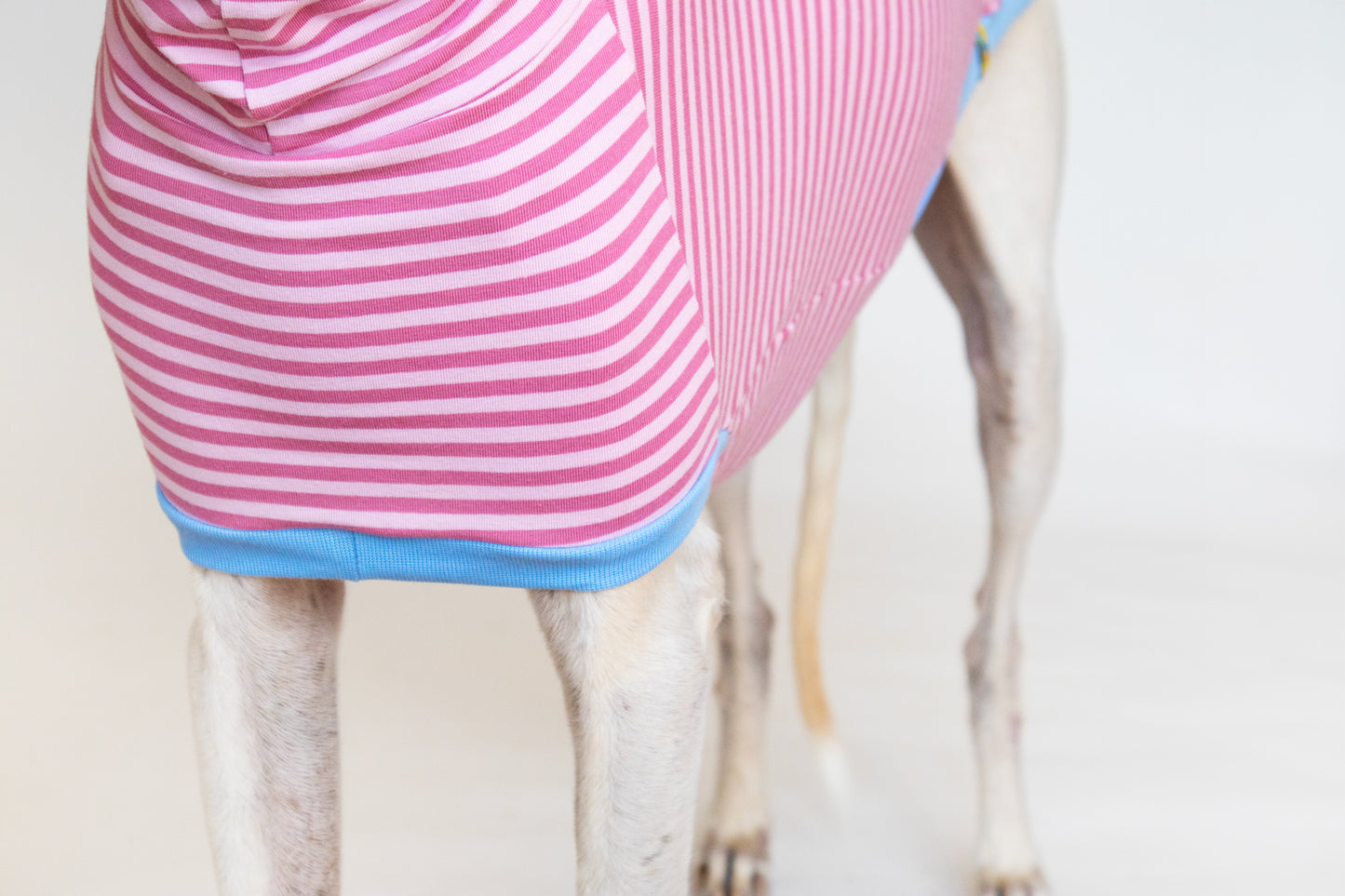 ropa para galgo camiseta manga corta malibu onda dogs