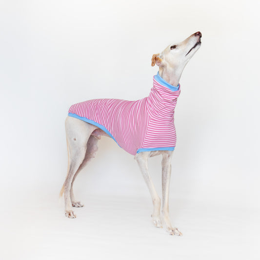 ropa para galgo camiseta manga corta malibu onda dogs