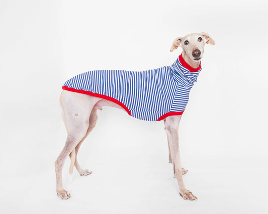ropa para galgo camiseta manga corta marinero azul onda dogs