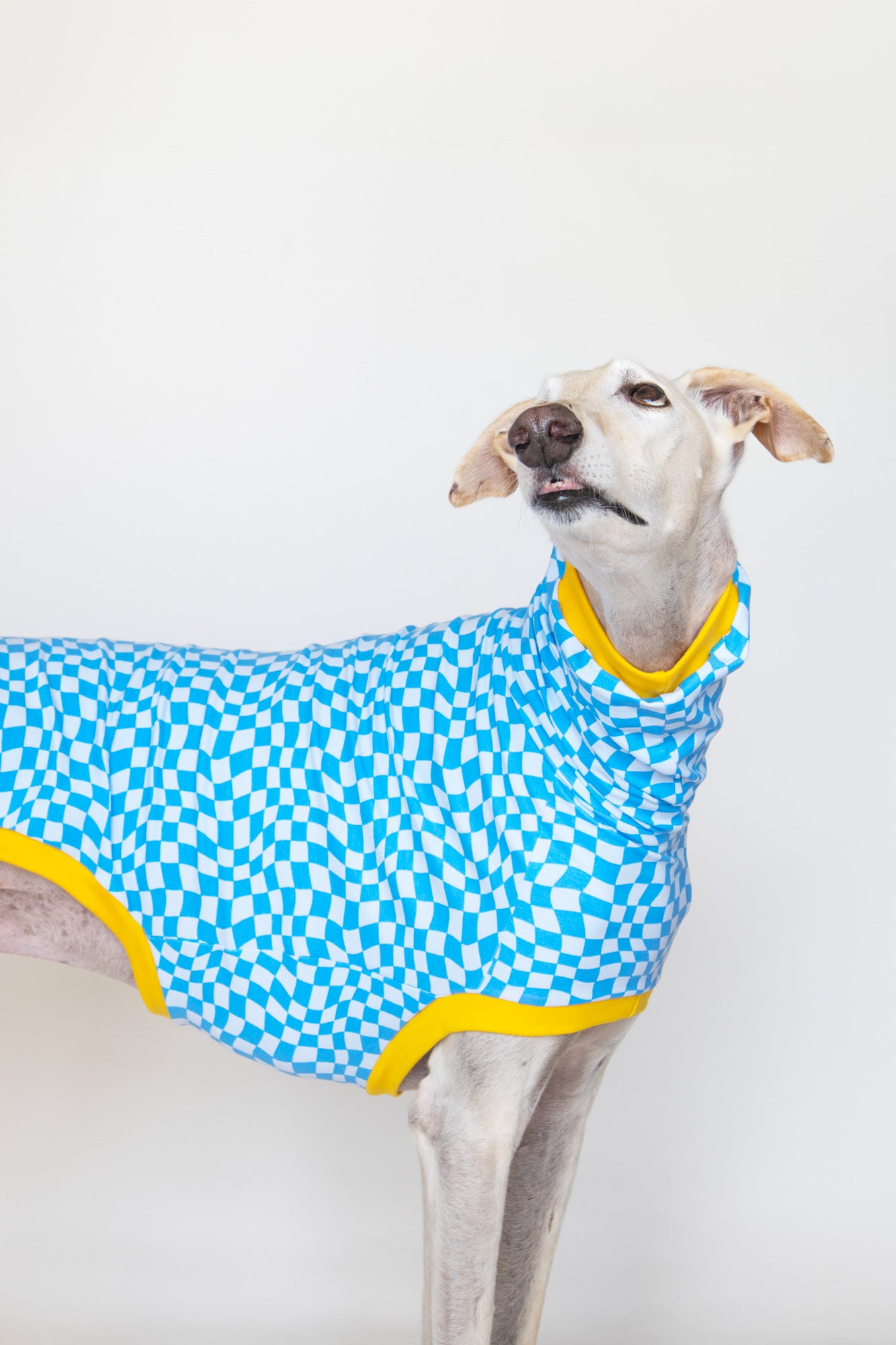 ropa para galgo camiseta manga corta pixel onda dogs