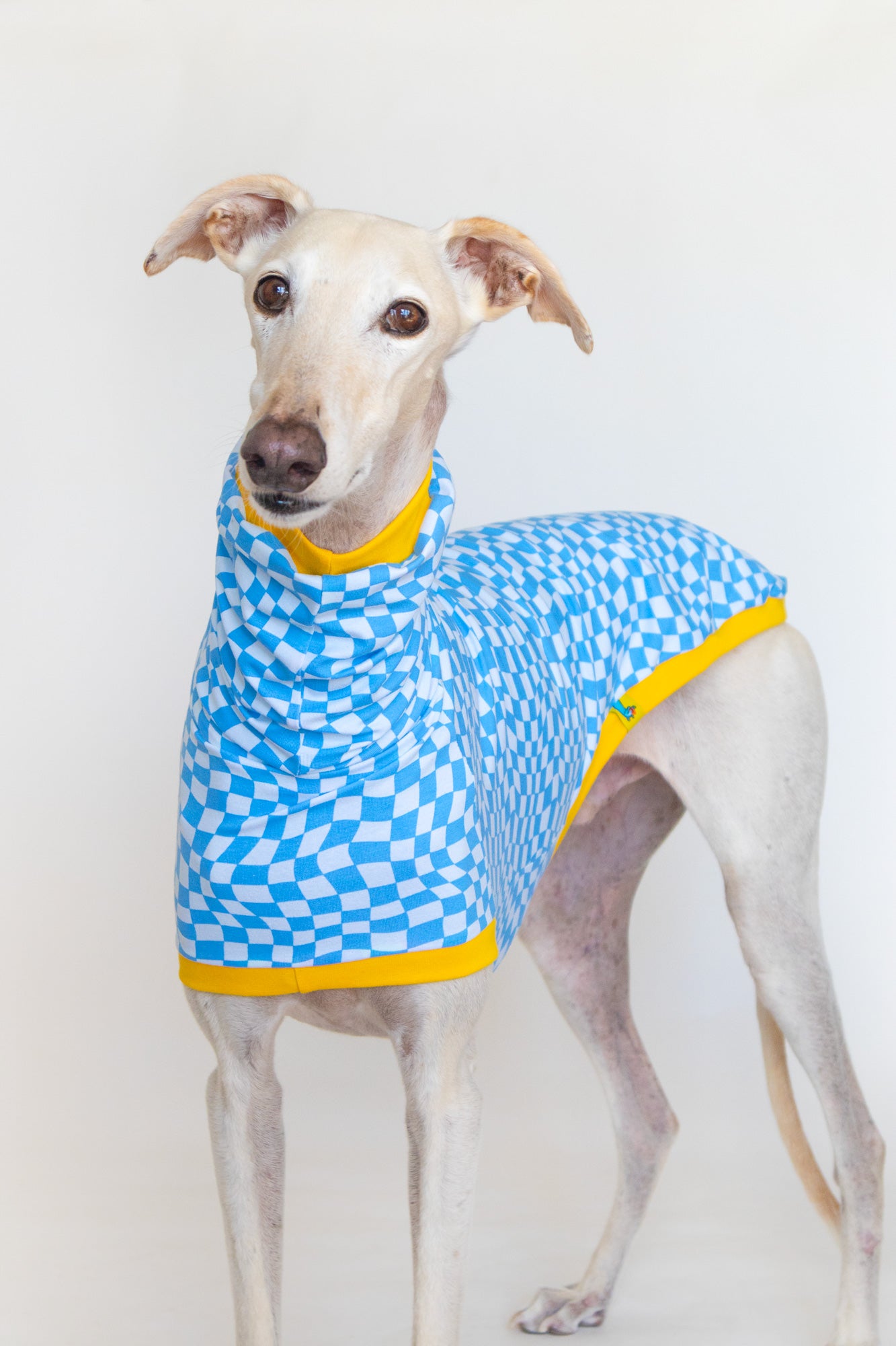 ropa para galgo camiseta manga corta pixel onda dogs