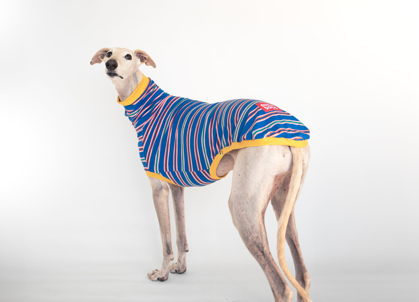 ropa para galgo camiseta manga corta solar pop onda dogs