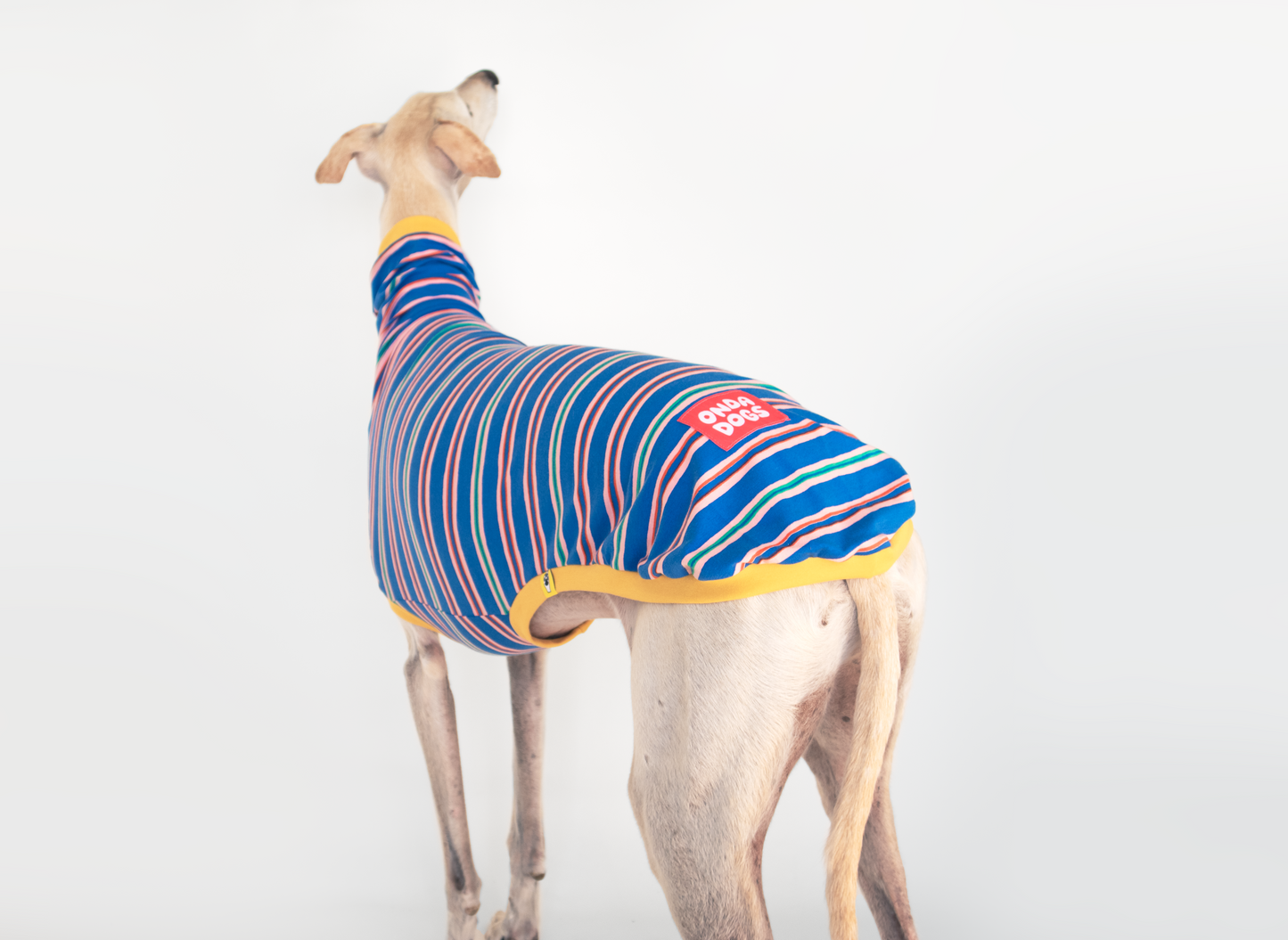 ropa para galgo camiseta manga corta solar pop onda dogs