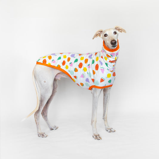 Camiseta Manga Corta Tutifruti Galgo