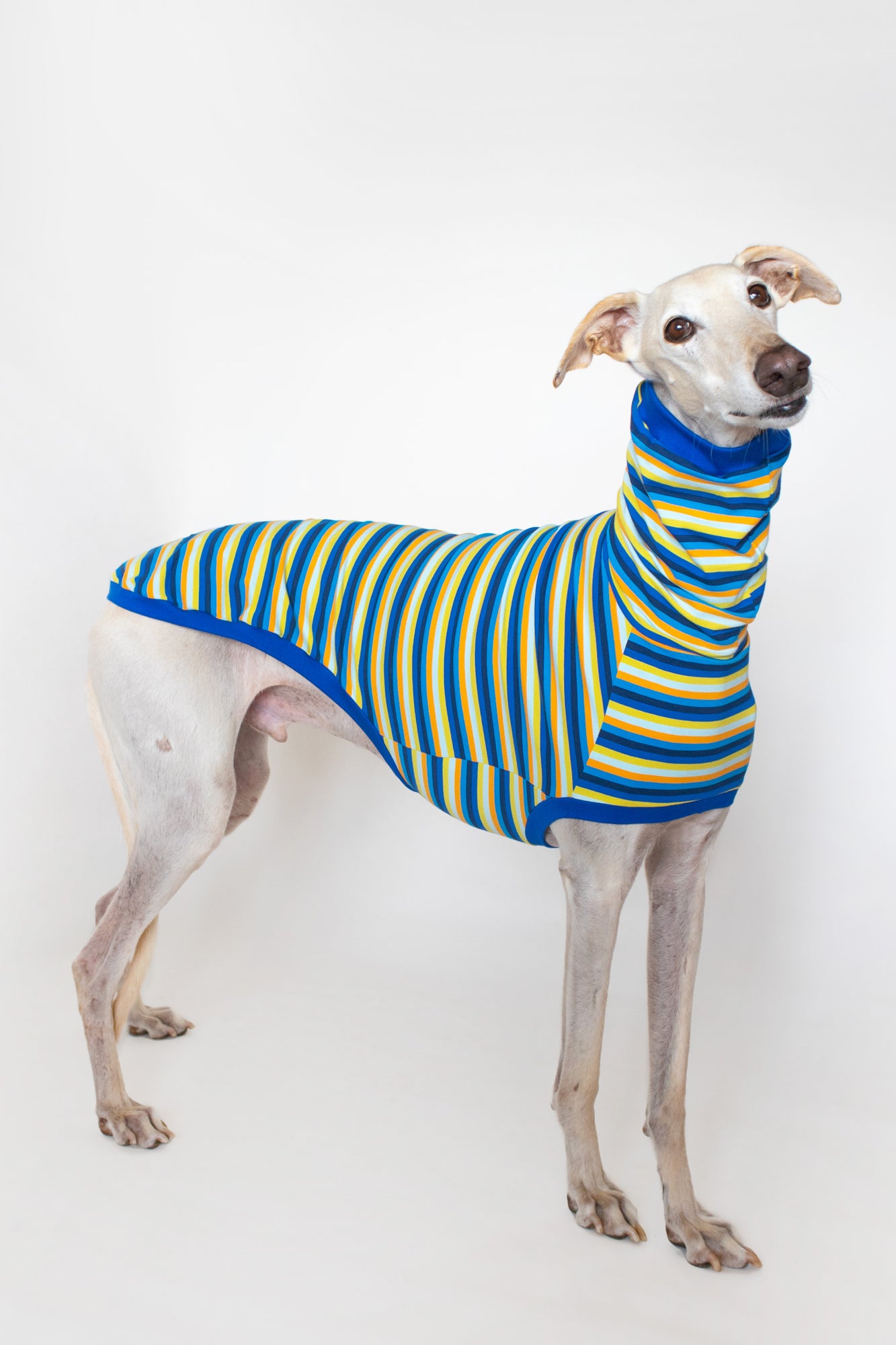 ropa para galgo camiseta manga corta voltio onda-dogs