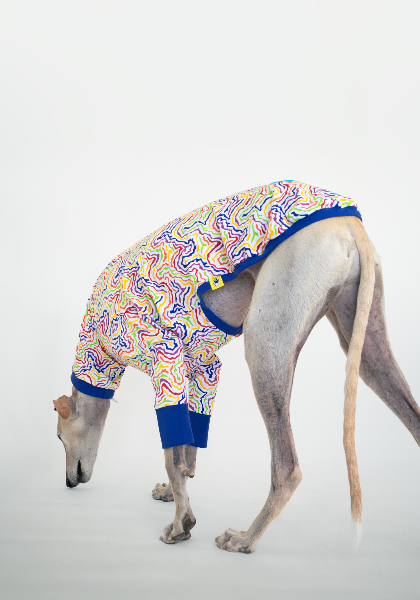 ropa para galgo camiseta manga larga arcoiris electrico onda dogs