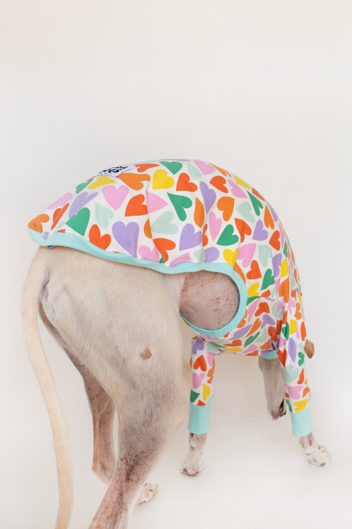 ropa para galgo camiseta manga larga corazones multicolor onda dogs