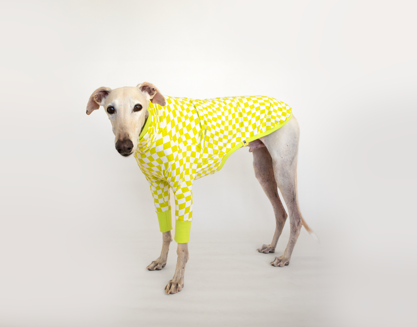 ropa para galgo camiseta manga larga lima limon onda dogs