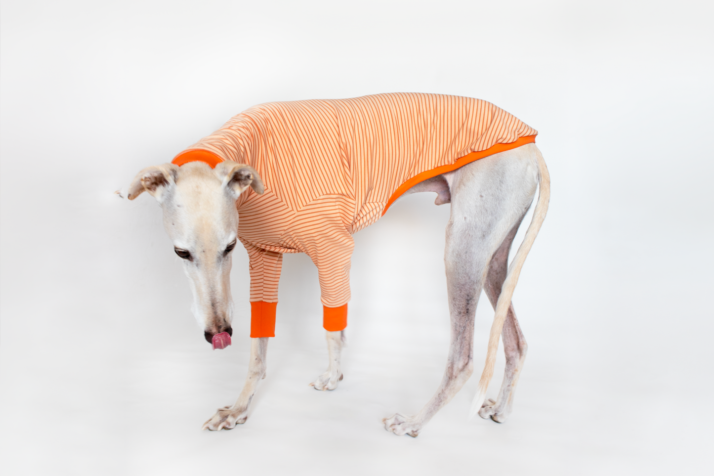 ropa para galgo camiseta manga larga naranja crema onda dogs