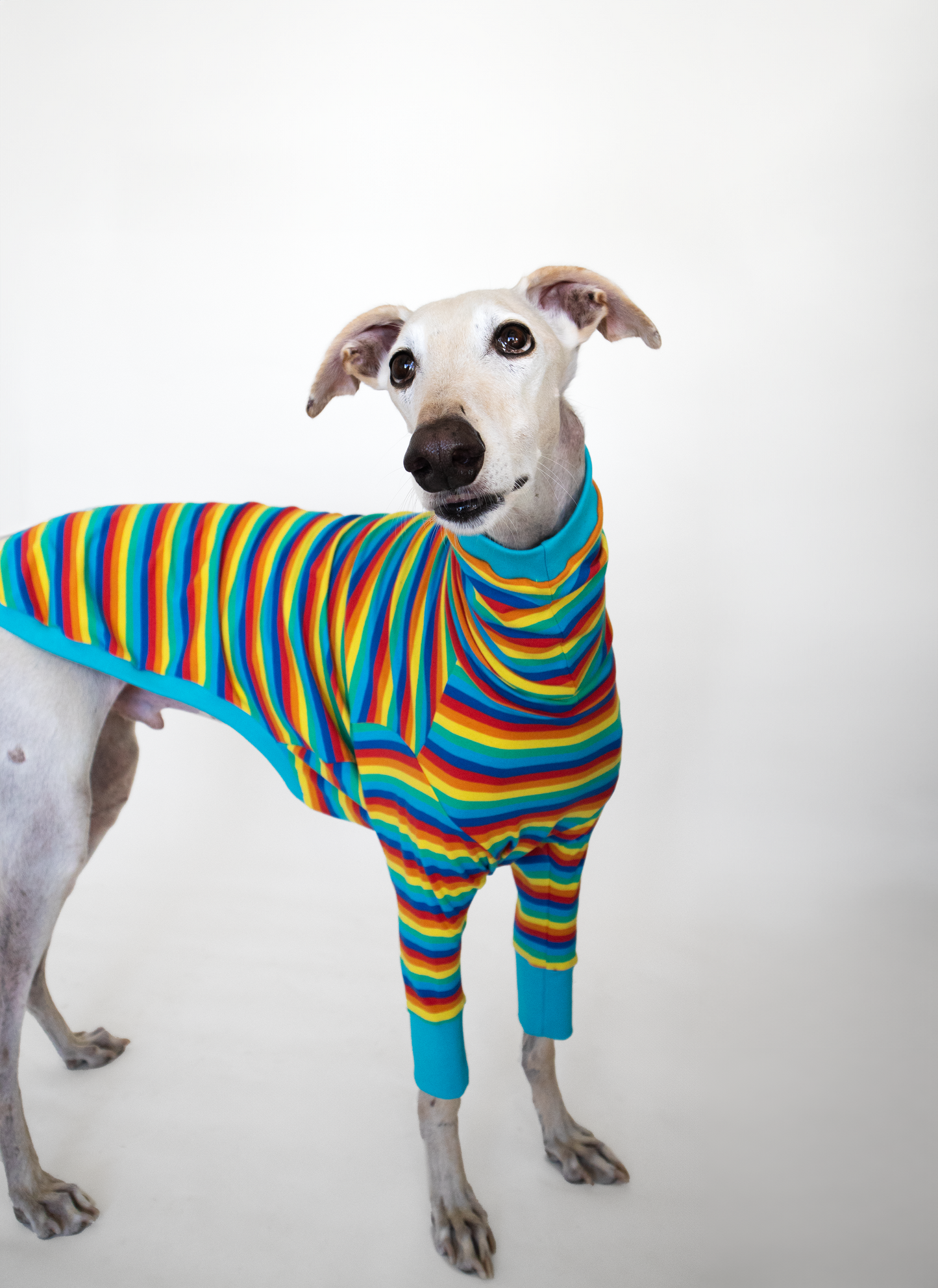 ropa para galgo camiseta manga larga pitufa arcoiris onda dogs