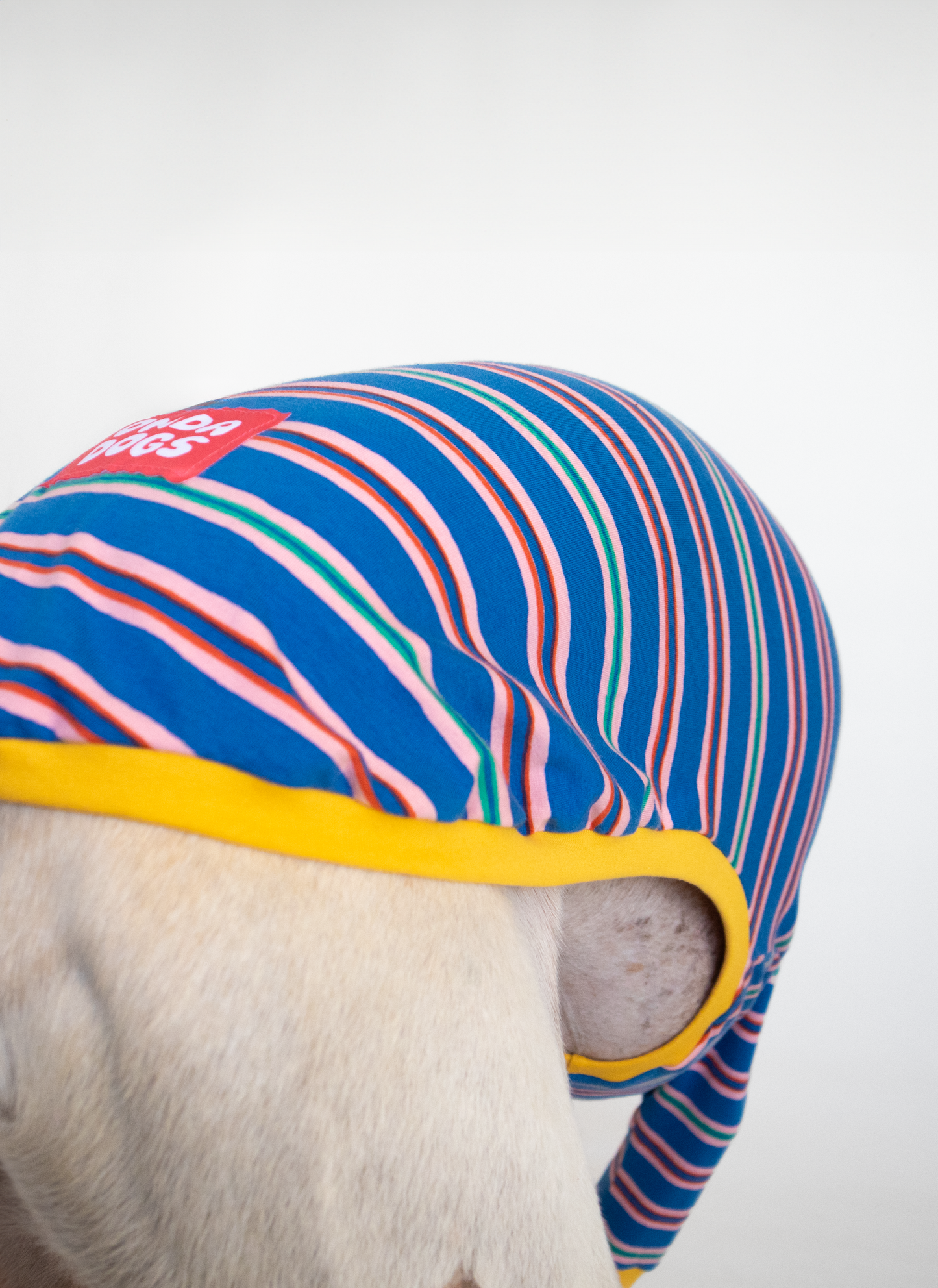 ropa para galgo camiseta manga larga solar pop onda dogs