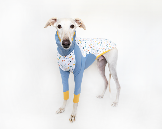 ropa para galgo sudadera combi azul onda dogs
