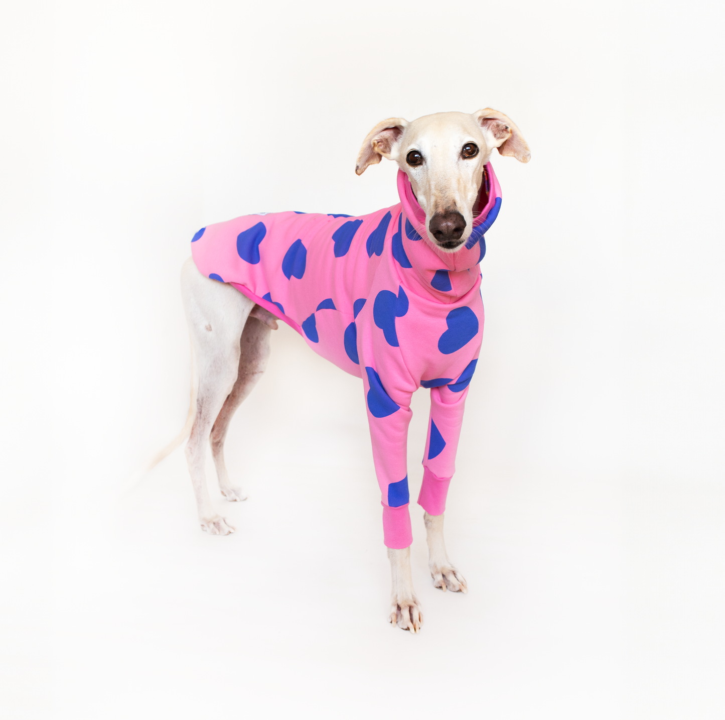 ropa para galgo sudadera manga larga corazones rosa onda dogs