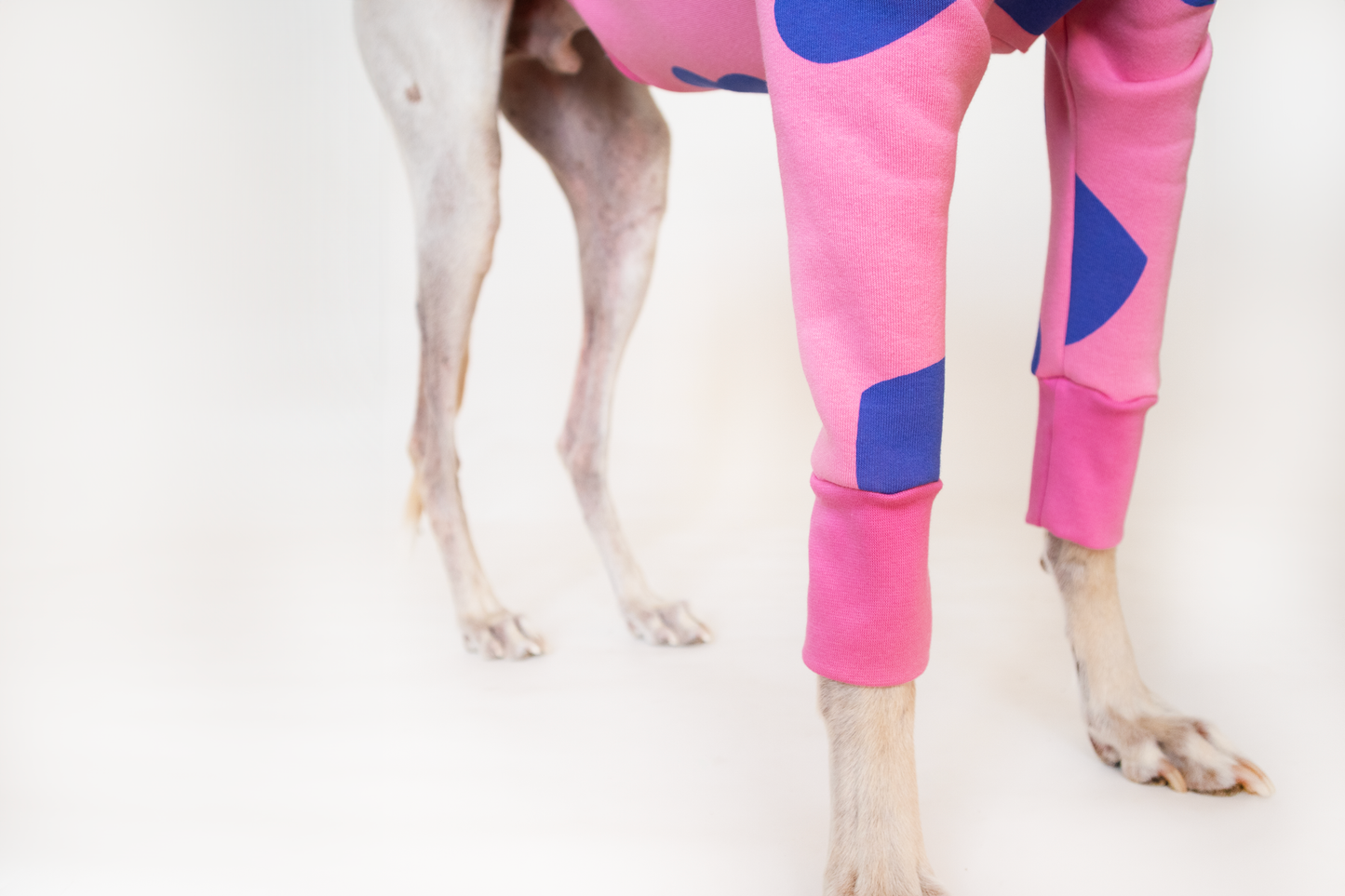 ropa para galgo sudadera manga larga corazones rosa onda dogs