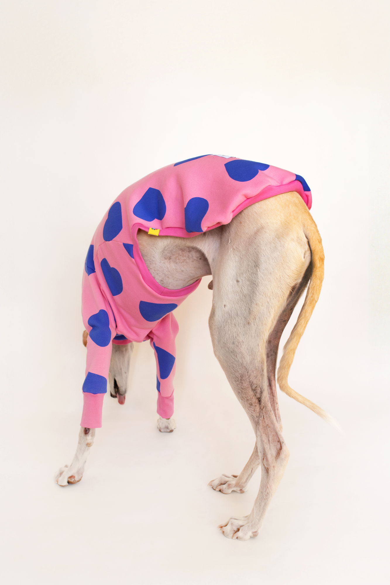 ropa para galgo sudadera manga larga corazones rosa onda dogs