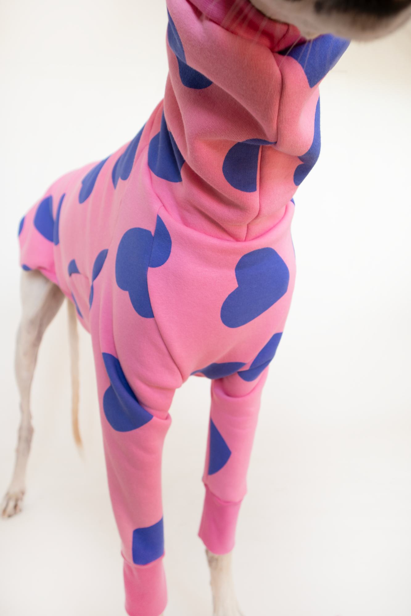 ropa para galgo sudadera manga larga corazones rosa onda dogs