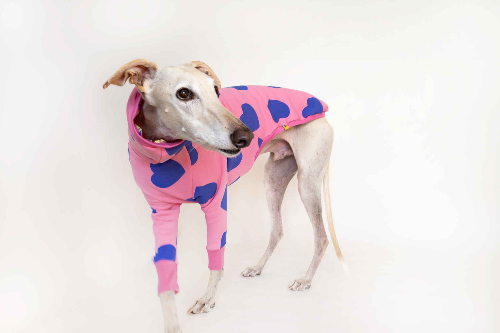 ropa para galgo sudadera manga larga corazones rosa onda dogs