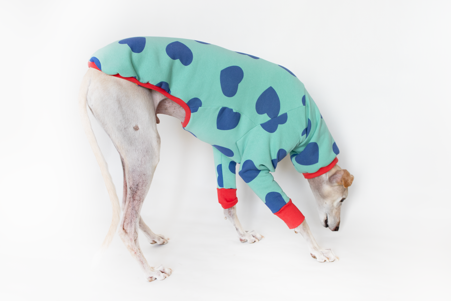 ropa para galgo sudadera manga larga corazones verde onda dogs