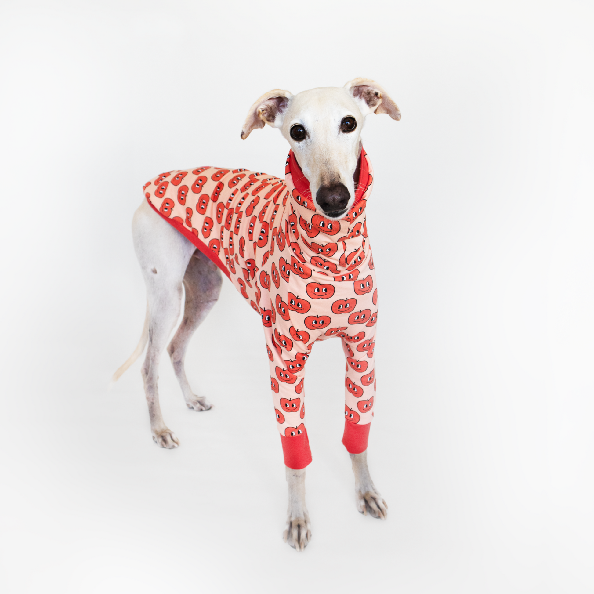 Ropa para galgo sudadera manga larga manzanita felices onda dogs