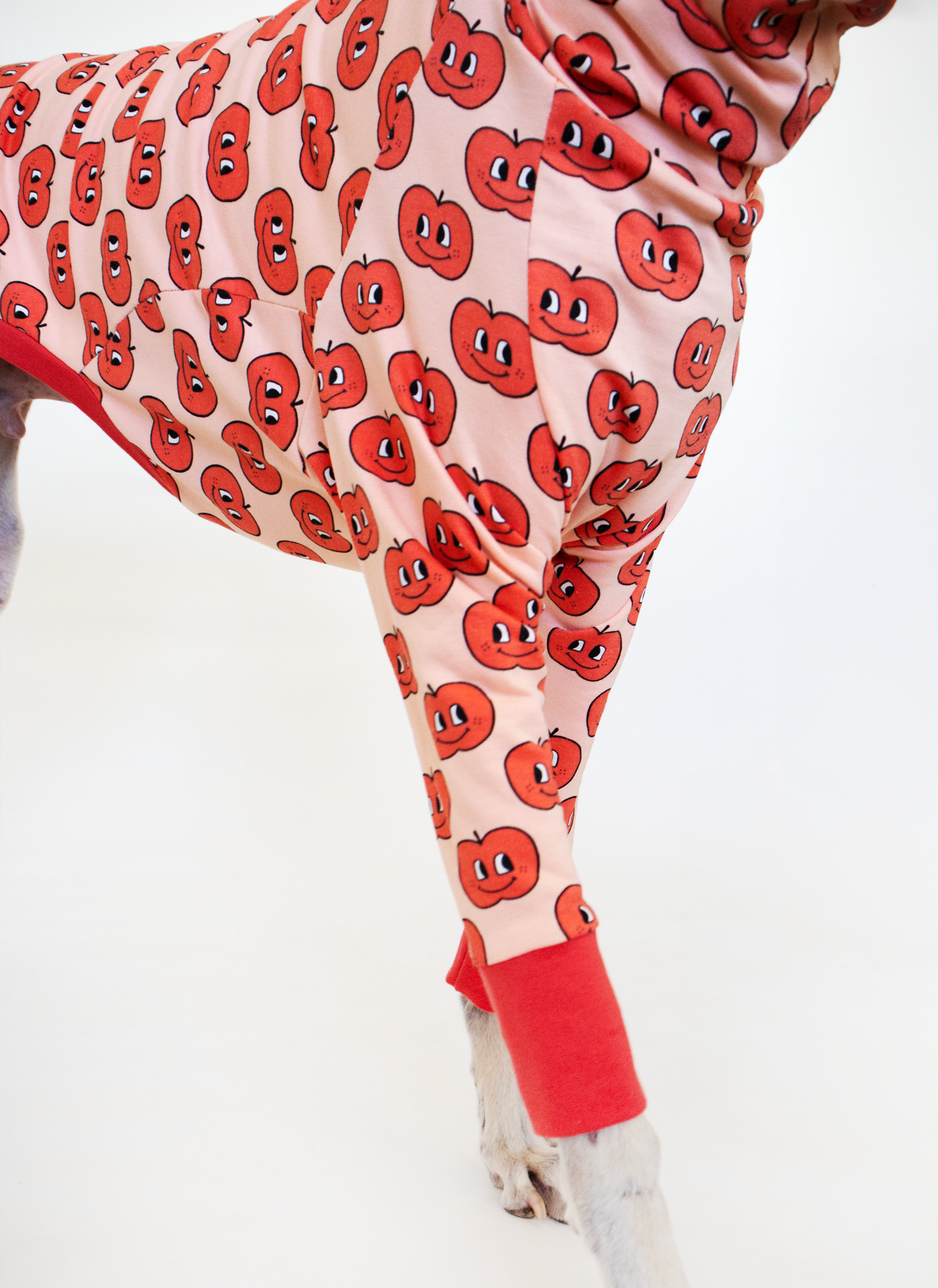 Ropa para galgo sudadera manga larga manzanita felices onda dogs