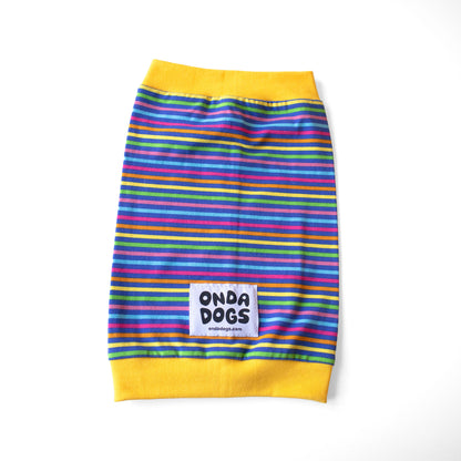 Cuellos / Buffs Coloridos