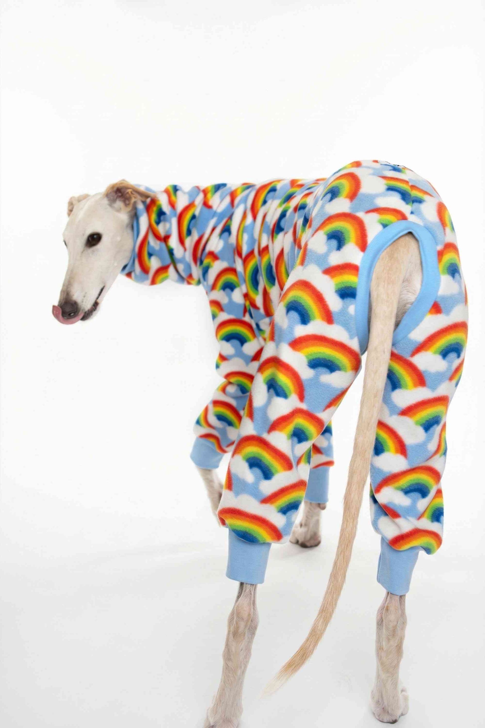 Vista lateral del mono polar Cielo para galgos mostrando la cobertura total de las patas