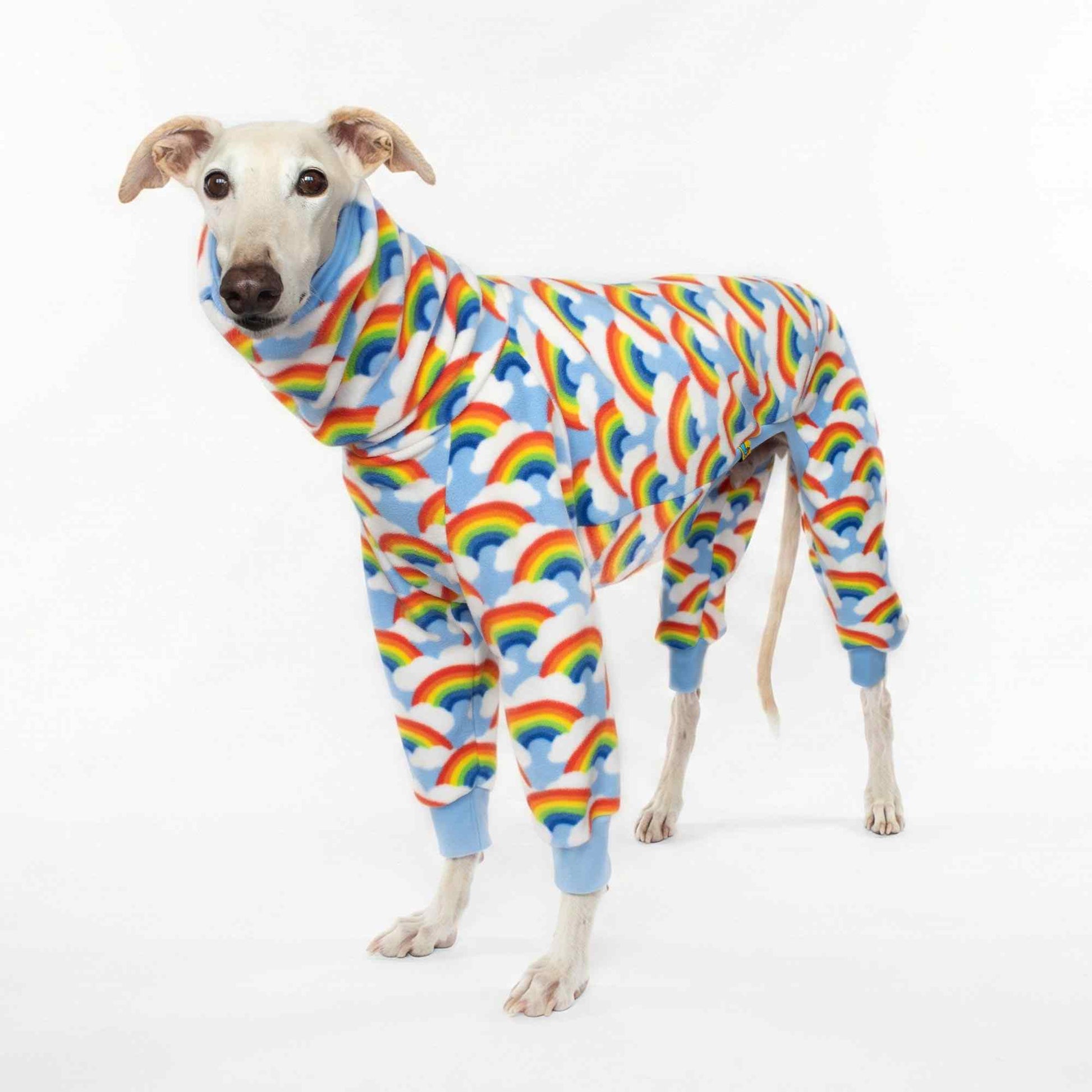 Pijama enterizo para galgo modelo Cielo con ajuste ergonómico para pecho profundo