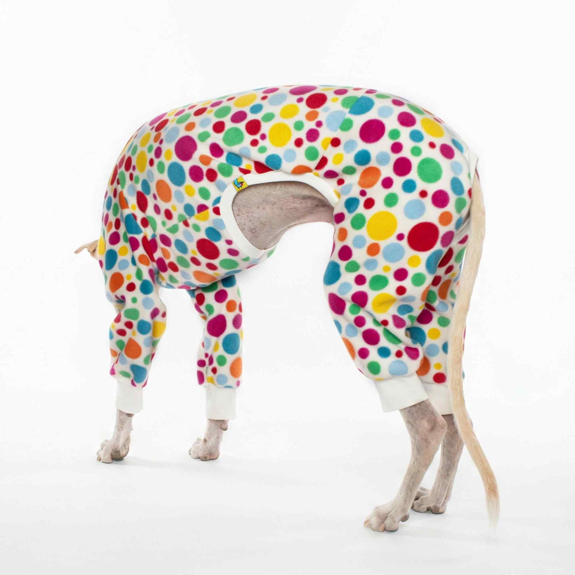 Galgo con pijama polar Confeti Blanco, vista lateral trasera, abrigo artesanal con estampado confeti multicolor