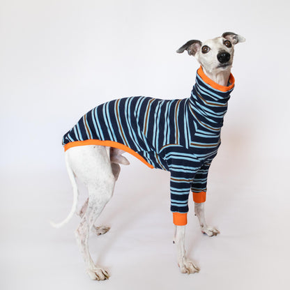 ropa para whippet domingo pijama onda dogs clothes for whippets pajama 