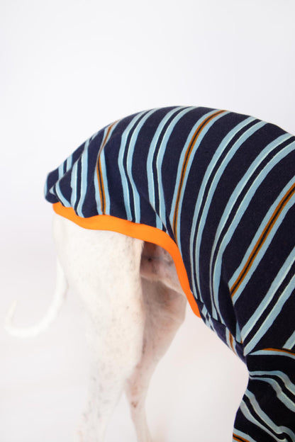 ropa para whippet domingo pijama onda dogs clothes for whippets pajama 