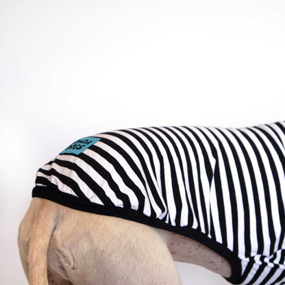 Detalle de la camiseta Mimo para galgos con estampado de rayas blancas y negras, ribete negro y etiqueta Onda Dogs