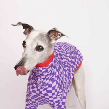 Detalle del tejido de la camiseta Lilax de manga larga para whippet de Onda Dogs