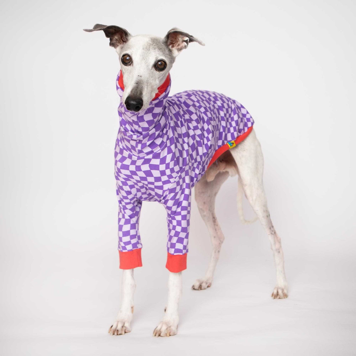 Whippet llevando la camiseta Lilax de manga larga con estampado geométrico lila