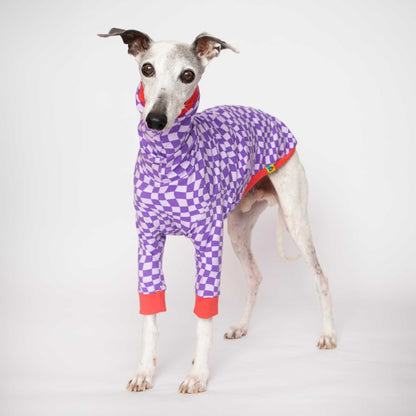 Whippet llevando la camiseta Lilax de manga larga con estampado geométrico lila