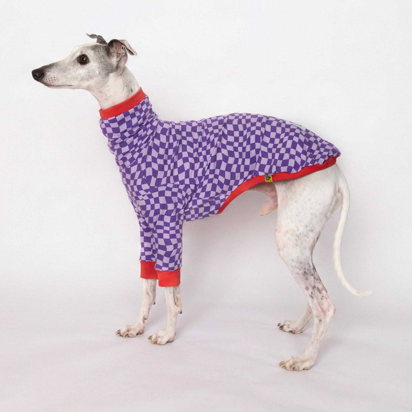Camiseta Lilax de manga larga para whippet con diseño geométrico lila de Onda Dogs