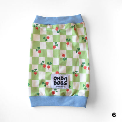 cuello buff galgo