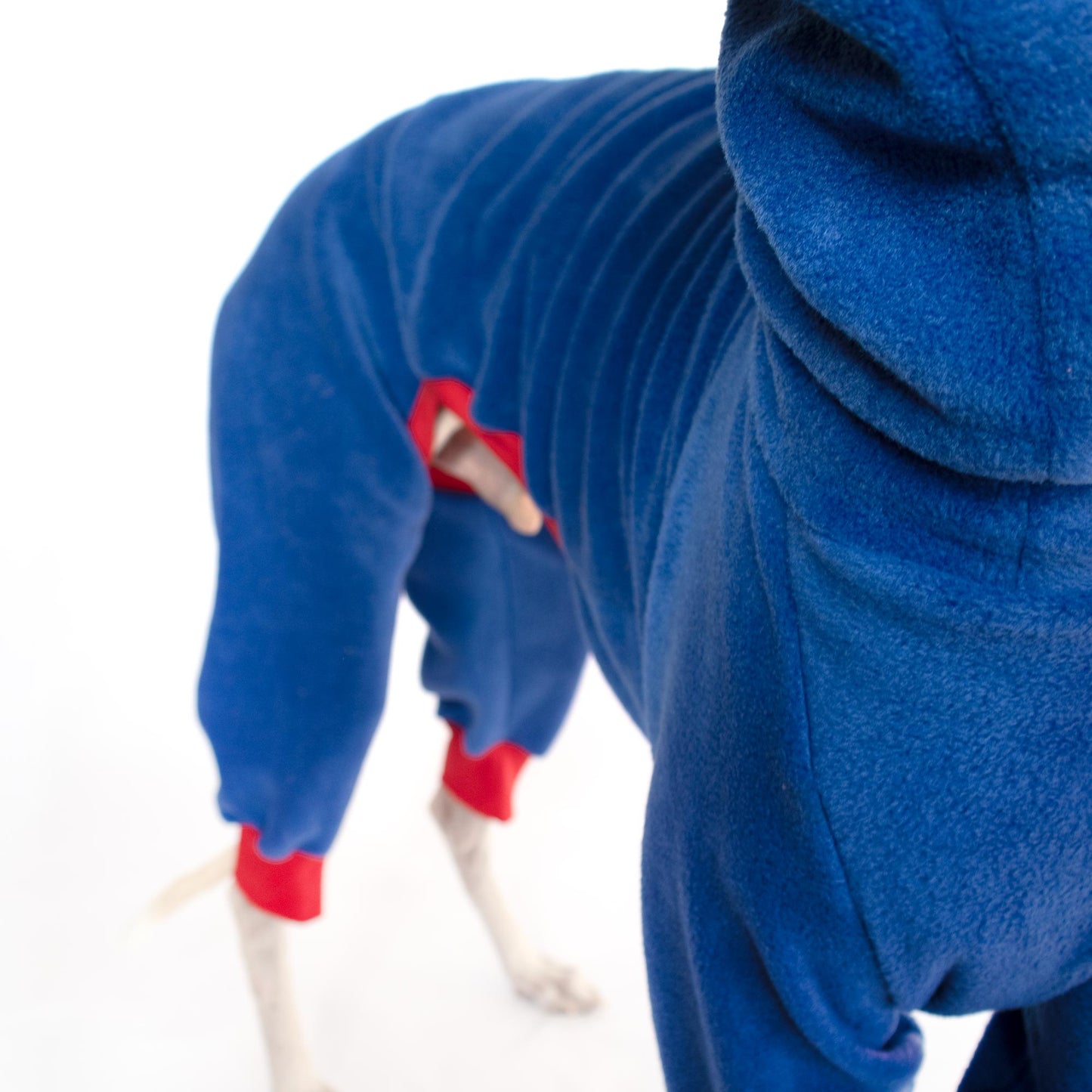 Primer plano del cuello alto de un polar azul para galgo, destacando el tejido térmico y el ajuste ergonómico.