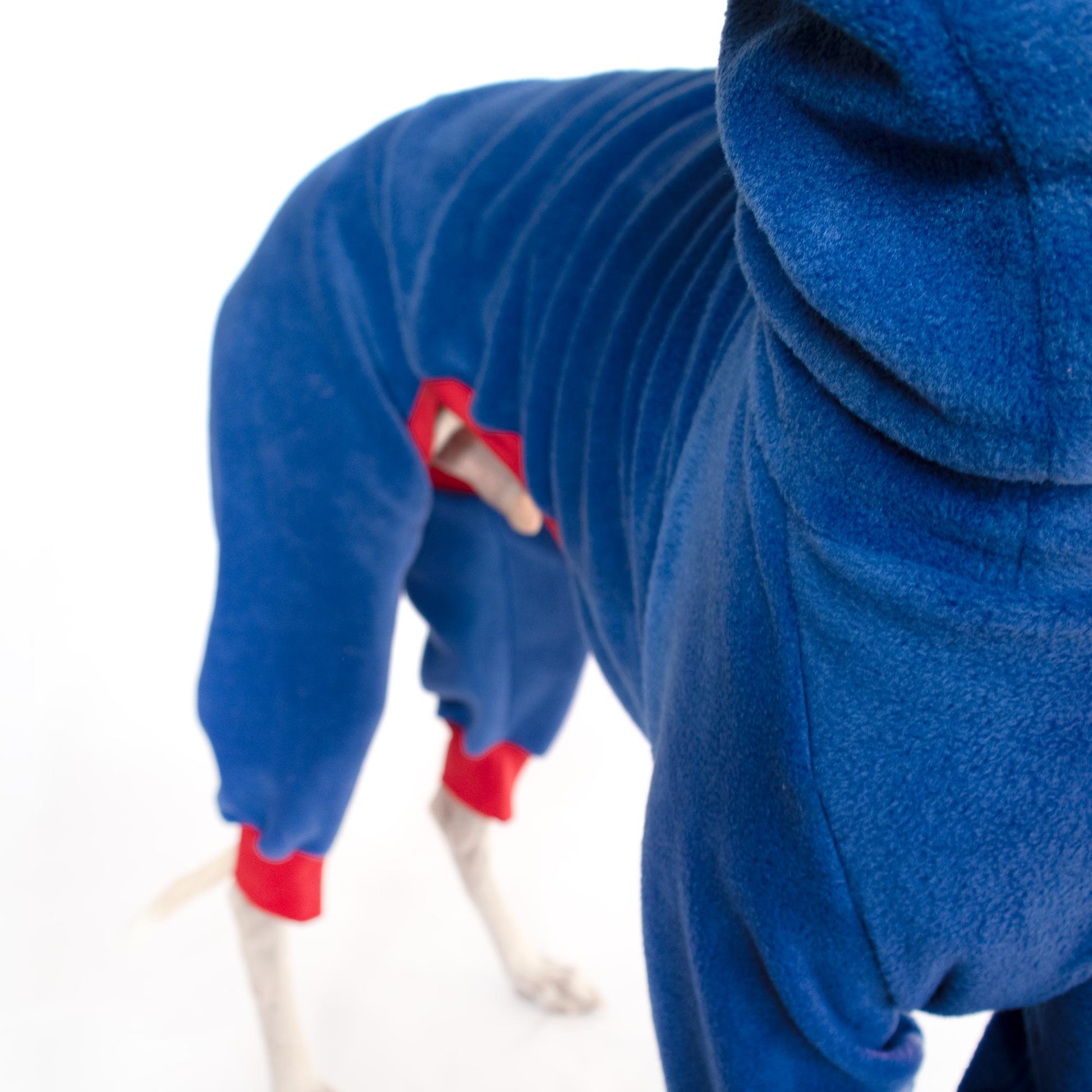 Primer plano del cuello alto de un polar azul para galgo, destacando el tejido térmico y el ajuste ergonómico.