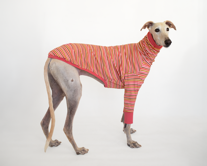 greyhound clothes long sleeve t-shirt coral pink onda dogs