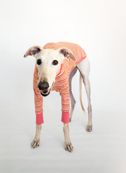 greyhound clothes long sleeve t shirt coral pink onda dogs